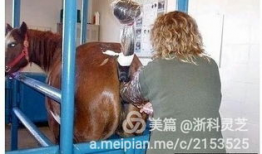 美女交配视频,探寻人类繁衍的奥秘